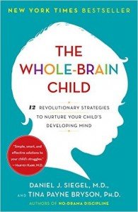 The Whole Brain Child Book