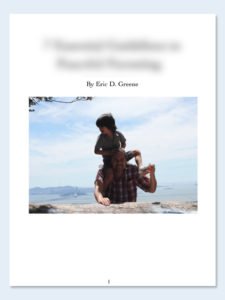 ebook - blurry cover - draft